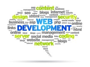 website-development1